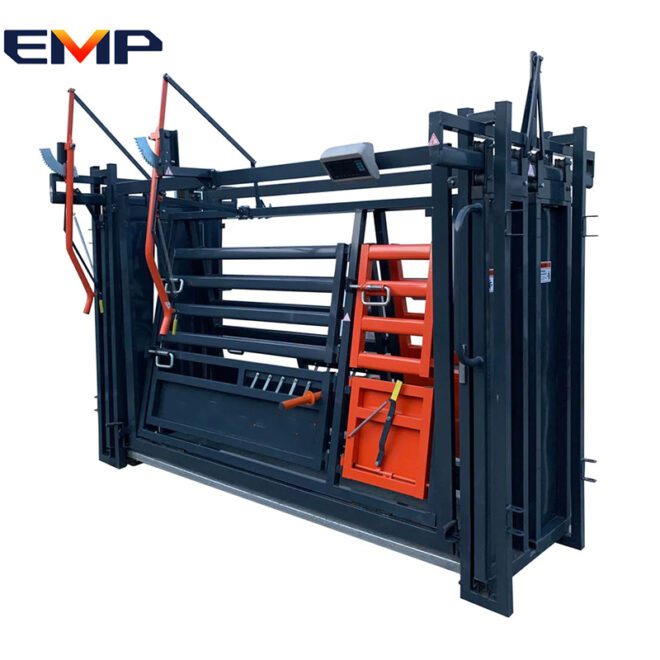 Cattle Squeeze Chute - Image 2